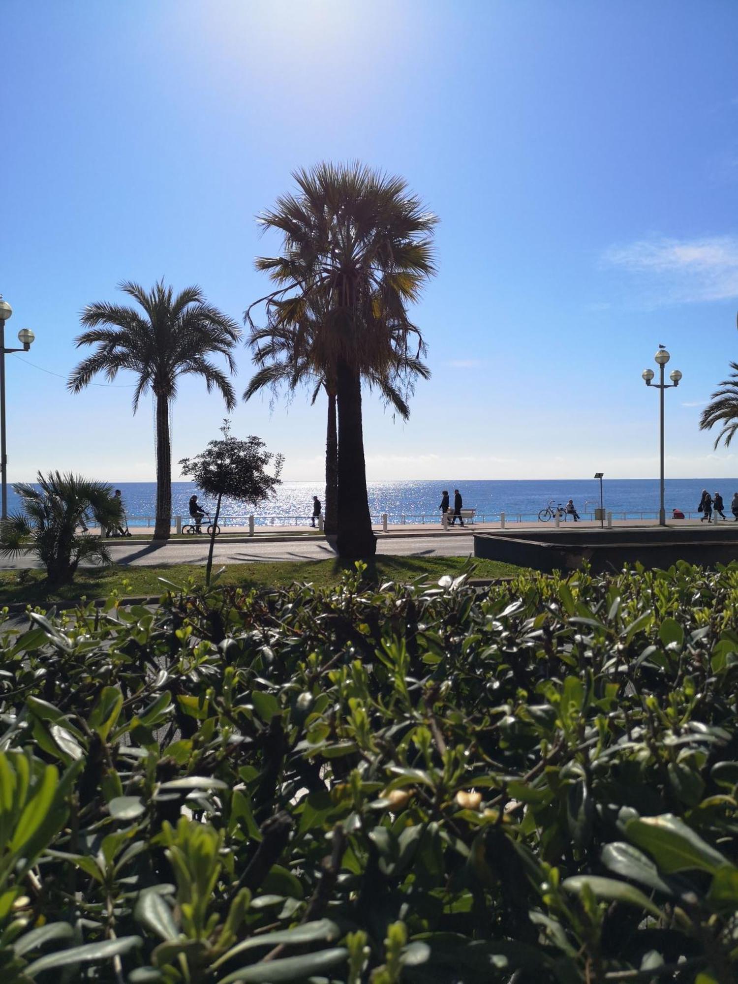 דירות ניס Garden Atlantide Promenade מראה חיצוני תמונה