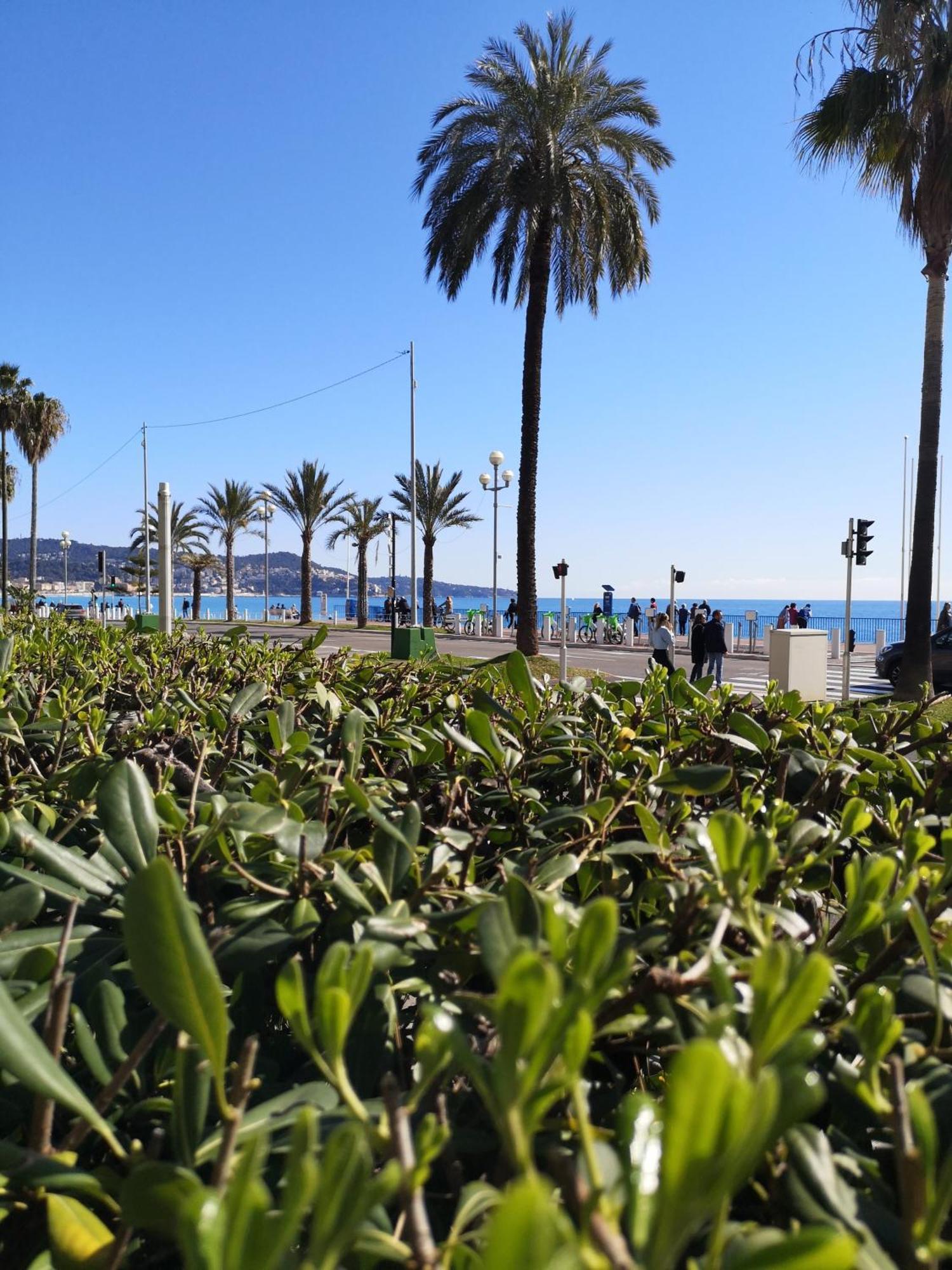 דירות ניס Garden Atlantide Promenade מראה חיצוני תמונה
