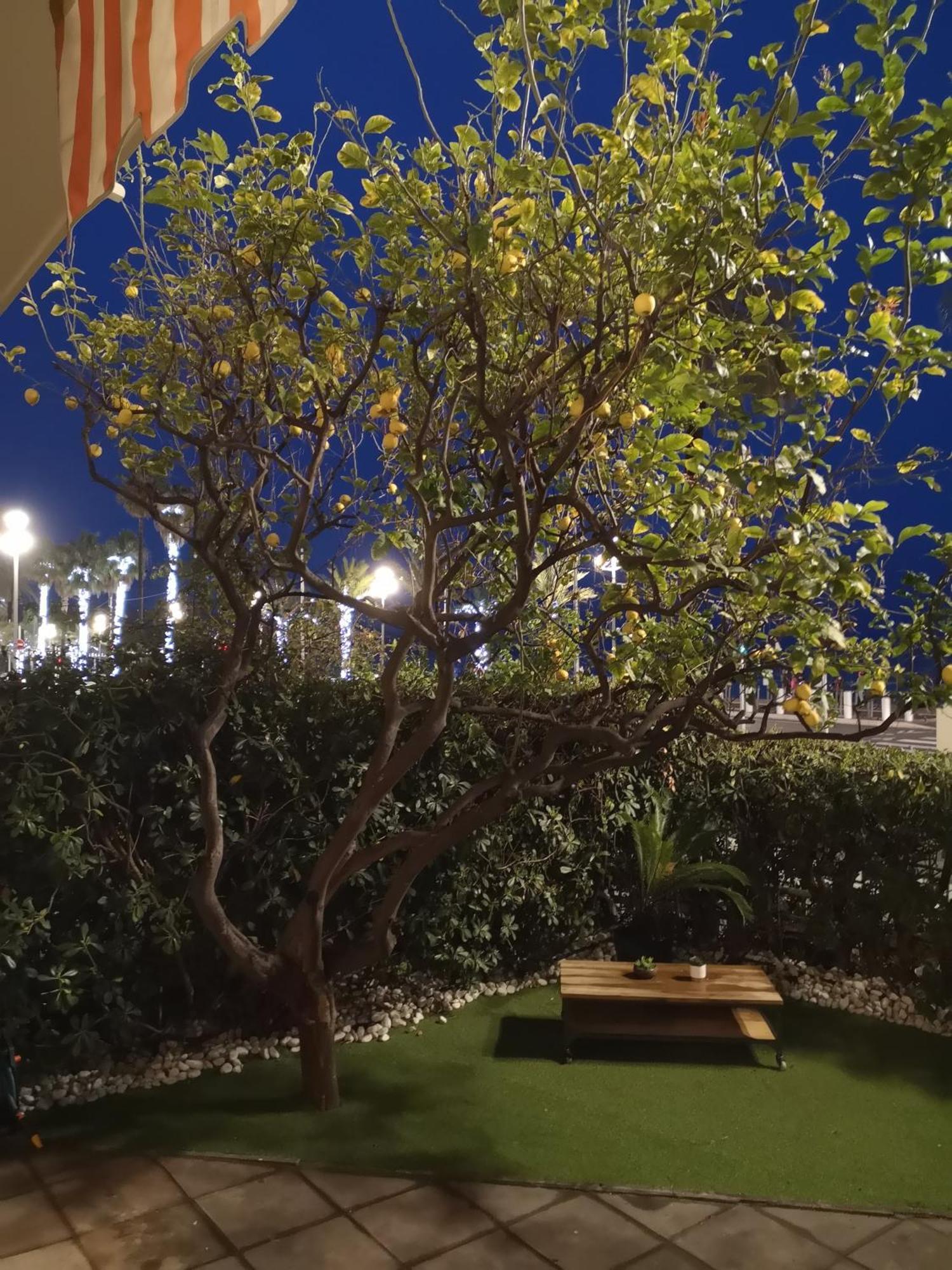 דירות ניס Garden Atlantide Promenade מראה חיצוני תמונה