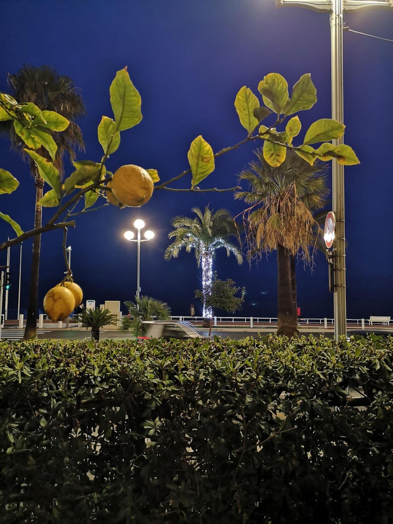 דירות ניס Garden Atlantide Promenade מראה חיצוני תמונה
