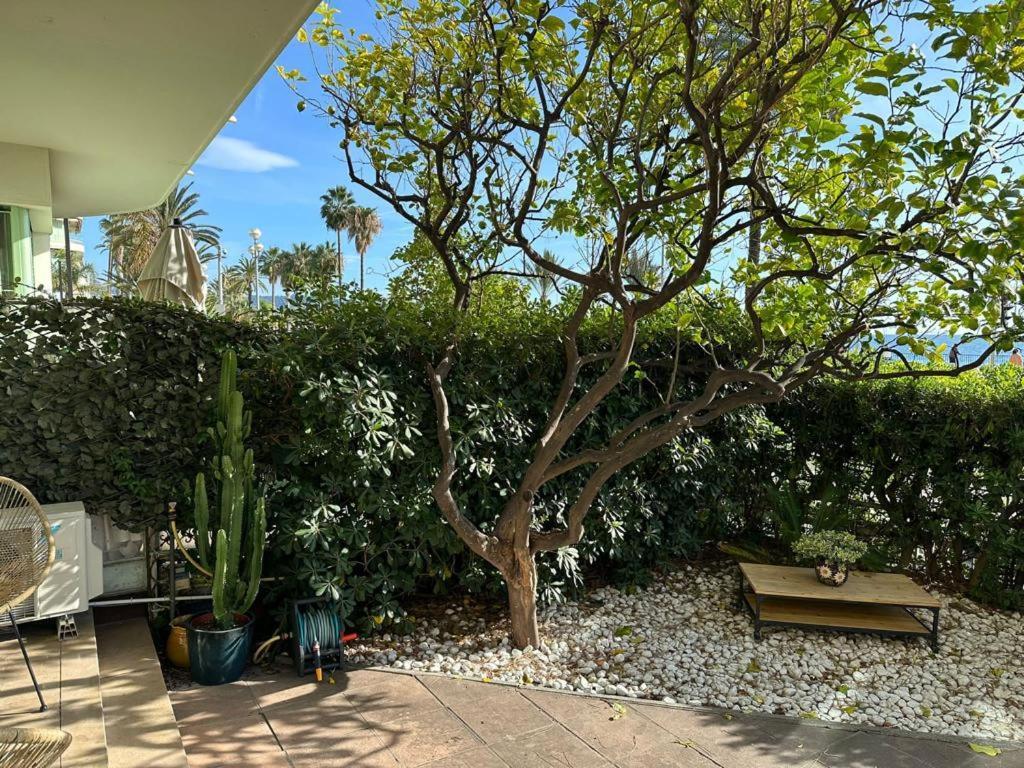 דירות ניס Garden Atlantide Promenade מראה חיצוני תמונה