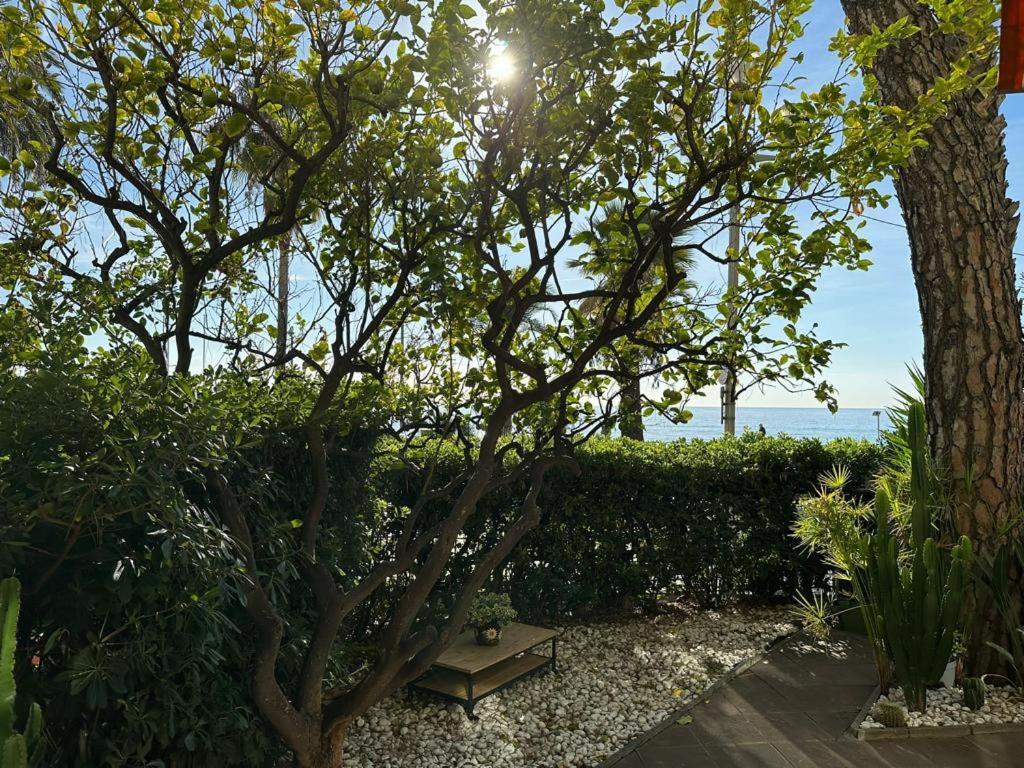 דירות ניס Garden Atlantide Promenade מראה חיצוני תמונה