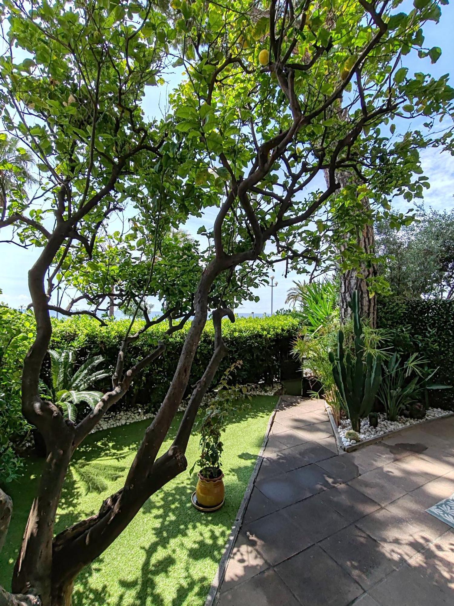 דירות ניס Garden Atlantide Promenade מראה חיצוני תמונה