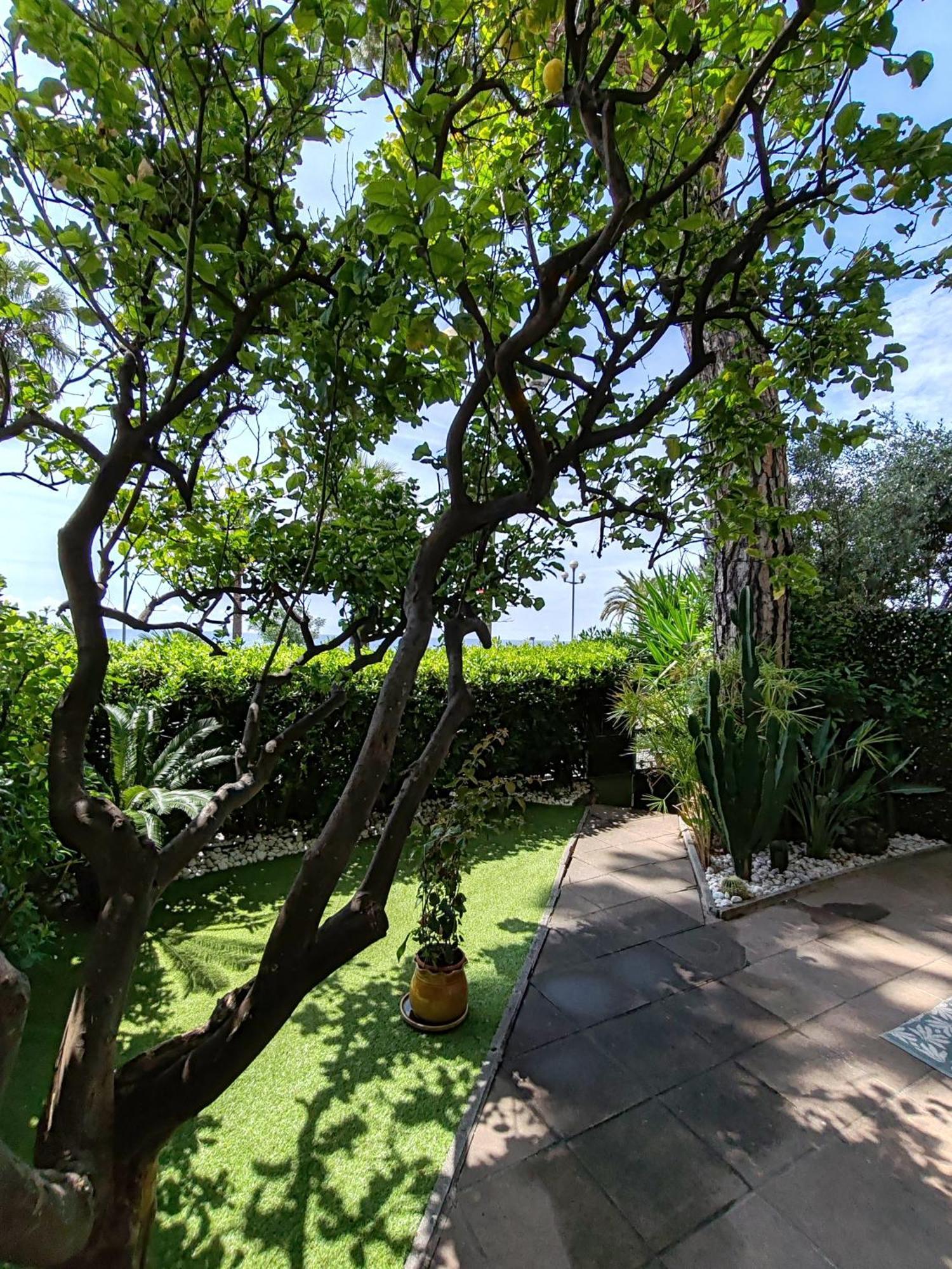 דירות ניס Garden Atlantide Promenade מראה חיצוני תמונה